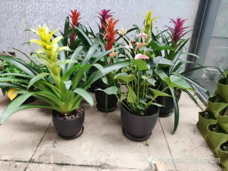 03_meitu_24.jpg 03_meitu_24.jpg