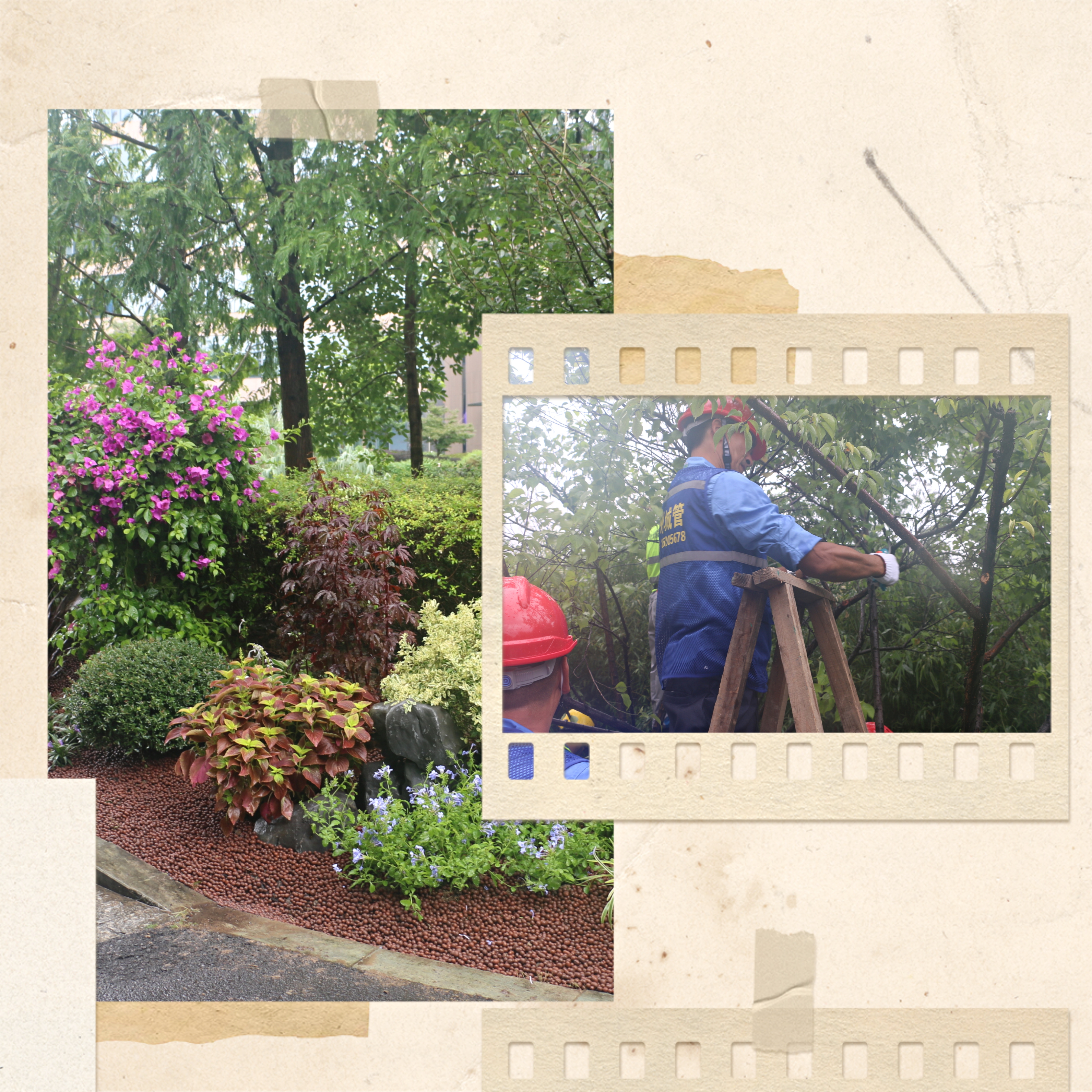 55e40fdb586a3d11a062d72a21a10e5.jpg 55e40fdb586a3d11a062d72a21a10e5.jpg