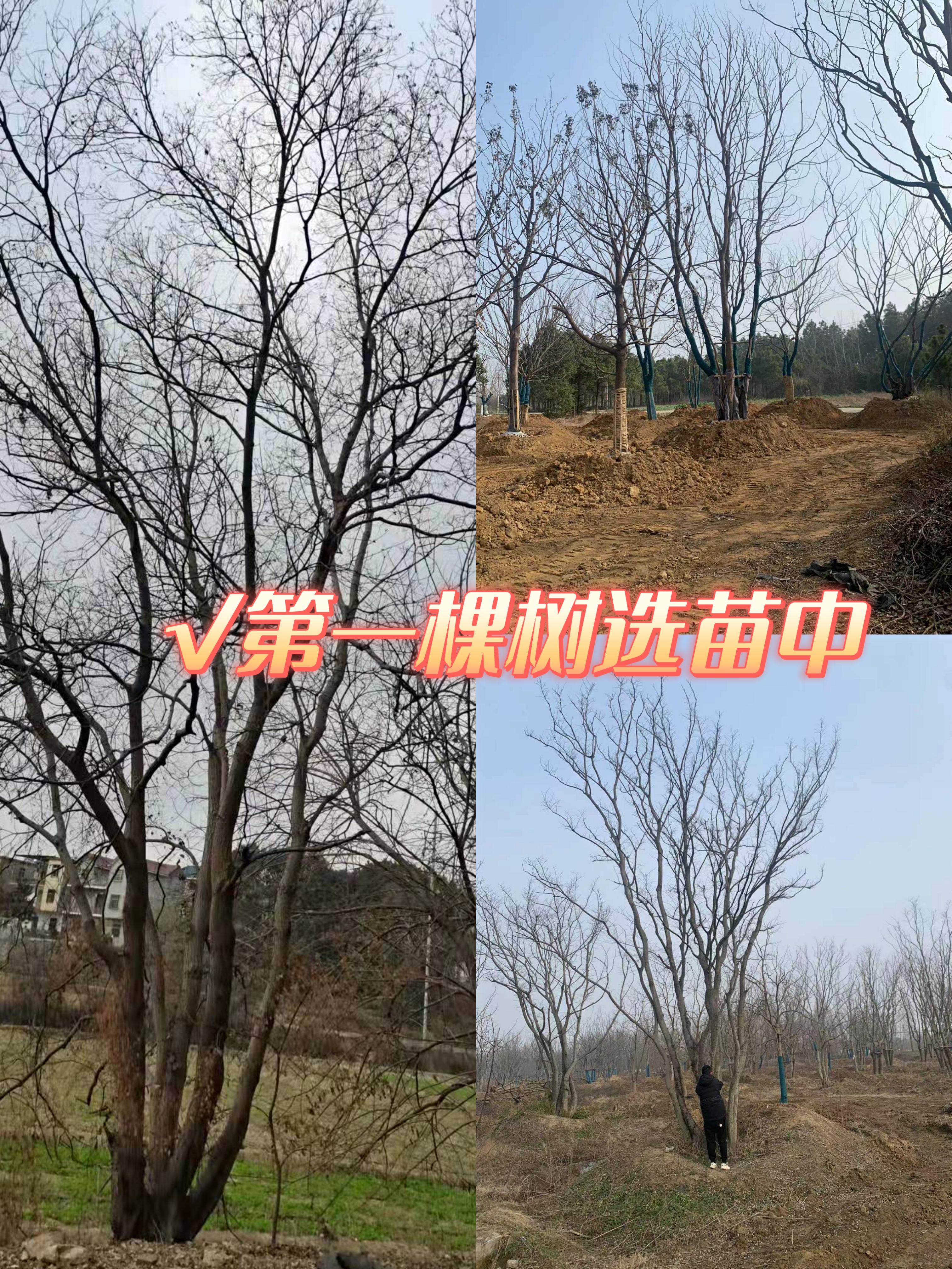 13c9496086e10d1e189bc8521de76fd.jpg 13c9496086e10d1e189bc8521de76fd.jpg