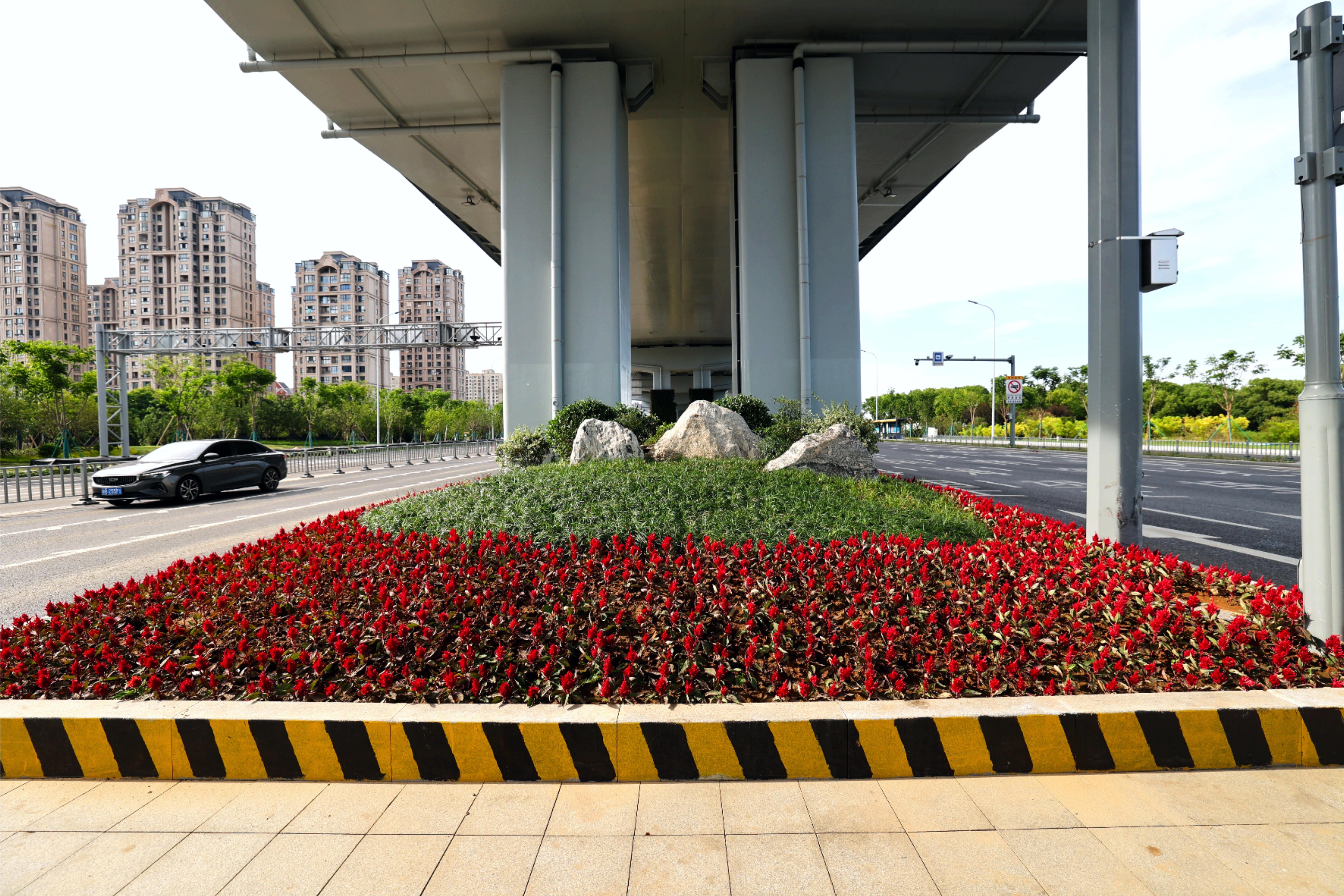 通過合理配置不同花色、葉色的植物，形成豐富的色彩層次和季相變化，提升道路景觀的觀賞性和趣味性.JPG